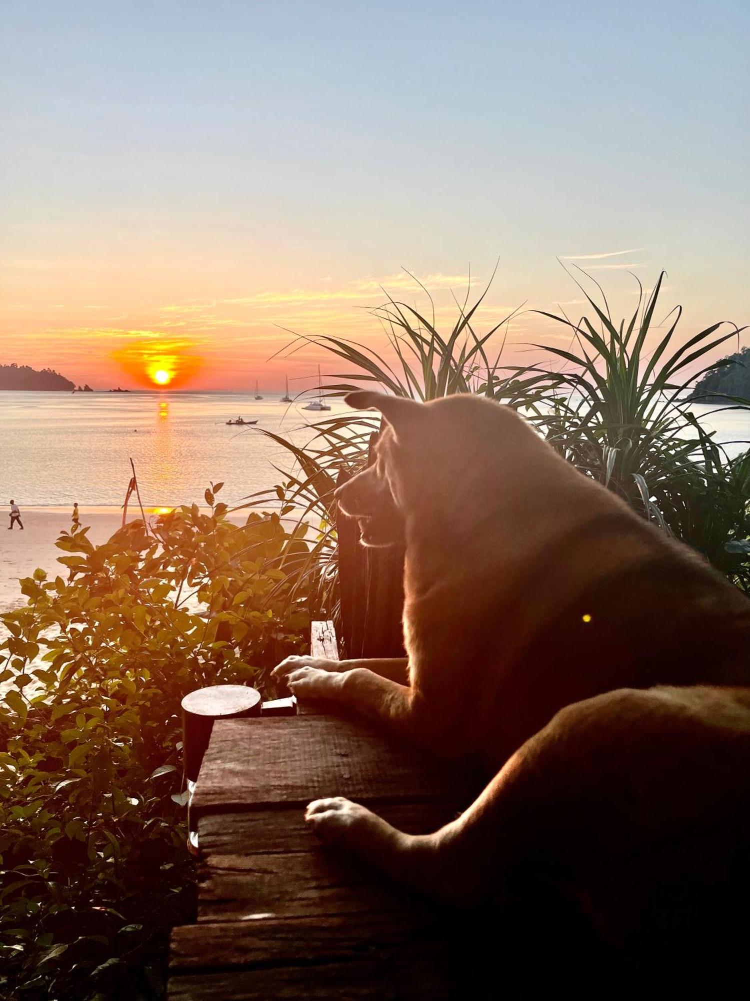 Starlight Beach Resort Koh Phayam Εξωτερικό φωτογραφία